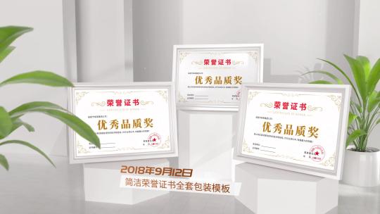 简洁干净企业荣誉证书奖牌展示ae模板