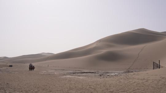4k拍摄敦煌鸣沙山骆驼视频素材模板下载