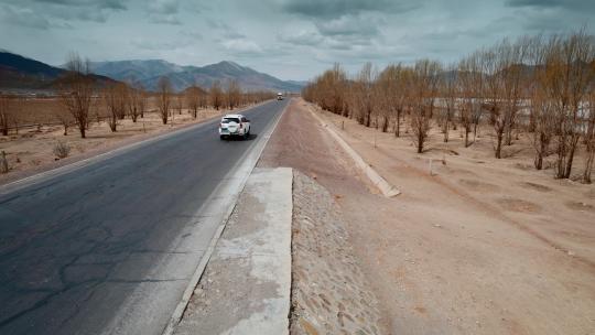西藏旅游风光219国道两侧枯树