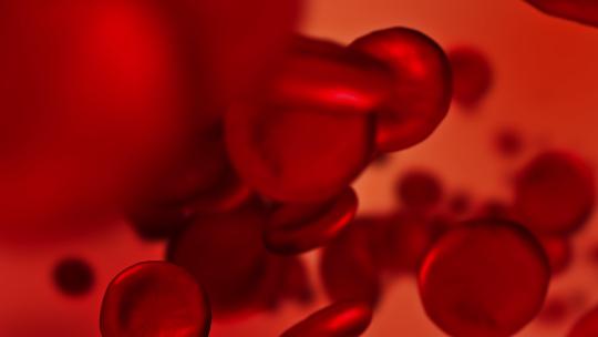 动脉中的红细胞，在体内流动，医疗人类保健