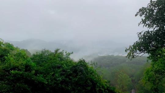 雨天爬山山顶山林大景起雾登顶风景