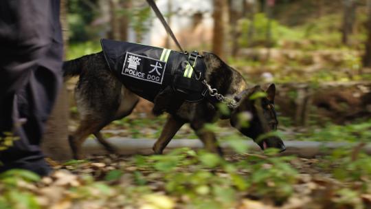 警察在边境线巡逻07