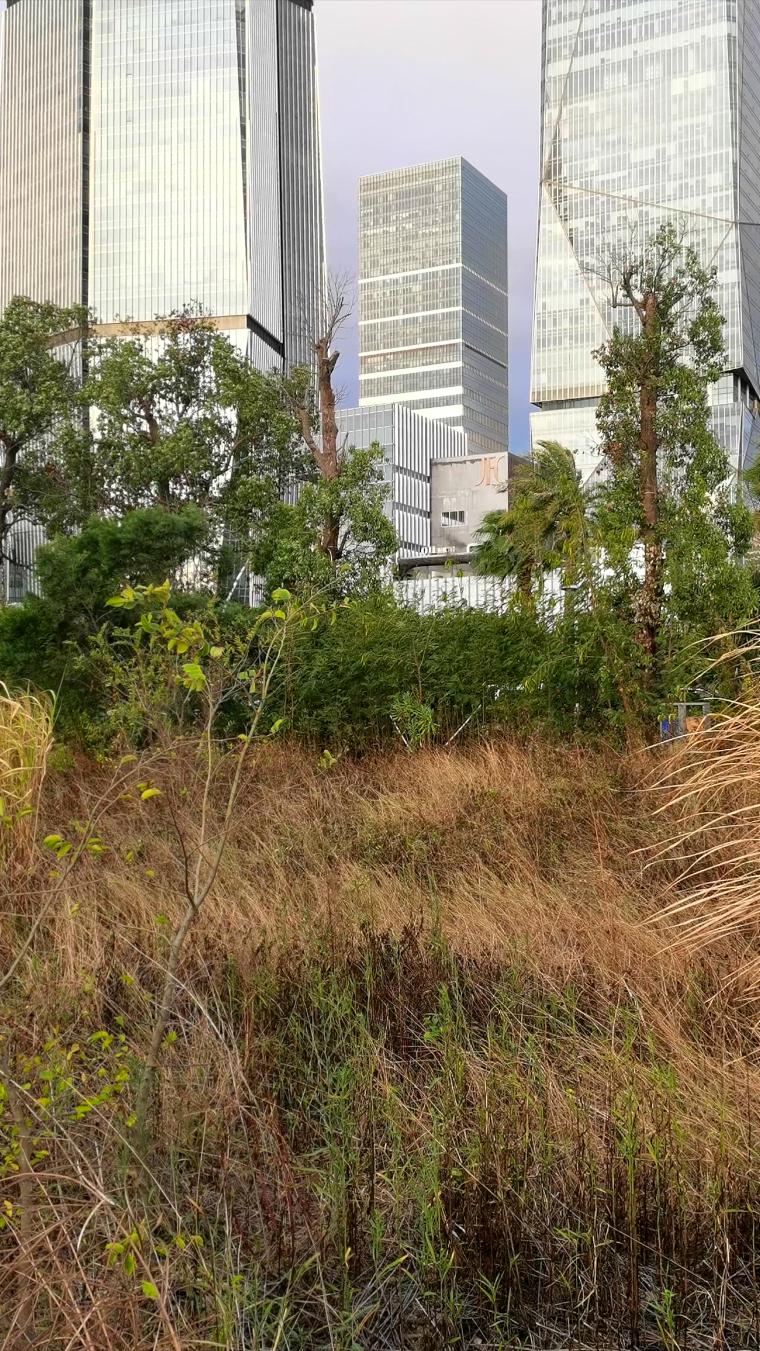 秋季朝阳香山滩涂后集中的商务写字楼右移镜头手机4K