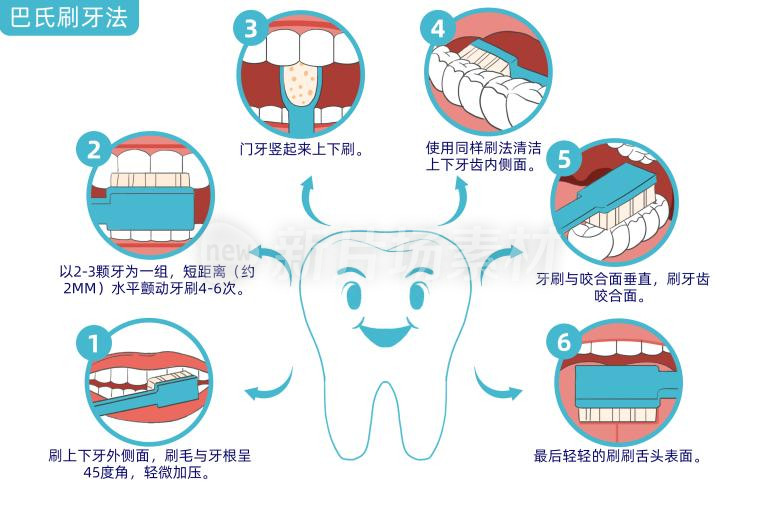 卡通巴氏刷牙法步骤宣传图流程插画健康科普