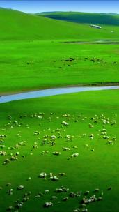 竖版-航拍草原上奔跑的牛羊