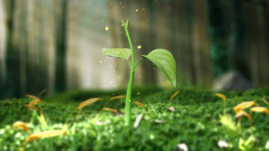 企业发展励志水滴万物复苏植物生长种子破土