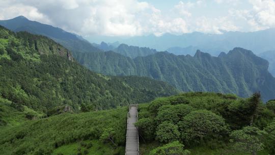 航拍湖北神农顶景区神农谷登山台阶