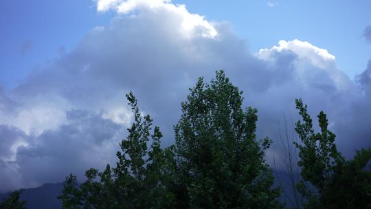落日晚霞云彩彩云云朵夕阳霞光树木森林树林