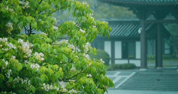 下雨天古建筑屋檐下雨中国风雨中绿植雨