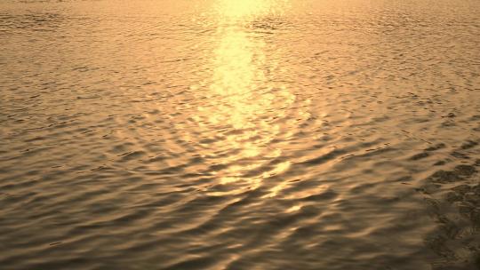 傍晚金色阳光洒在水面上波光粼粼