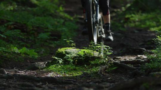 人在森林里骑山地自行车