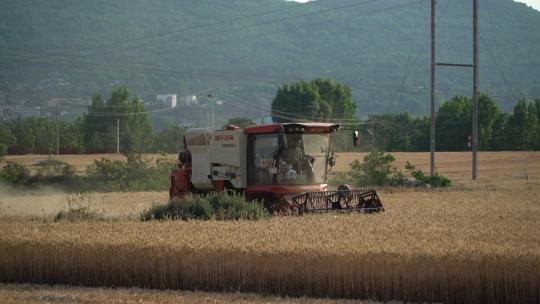 收麦收割机山区农忙高清在线视频素材下载
