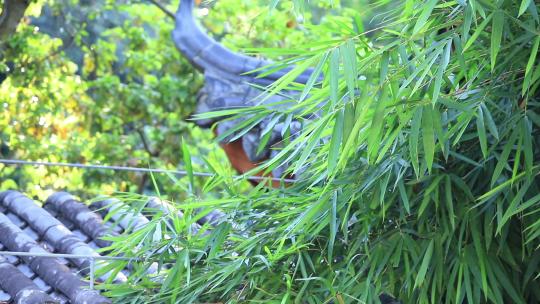 意境竹林竹影，中式古典园林