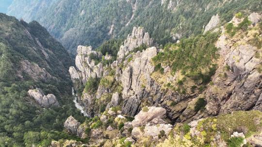 航拍湖北旅游神农架神农顶奇峰异石群