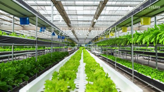 科技智慧大棚农业合集