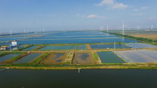 航拍现代化水产养殖基地