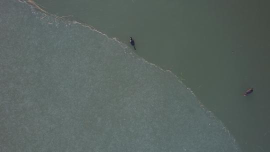 航拍冬季冰湖上的天鹅