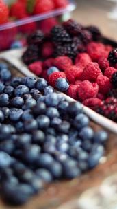 草莓蓝莓桑葚各种水果采摘