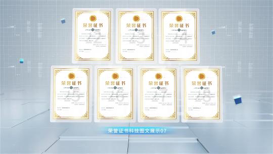 036科技感荣誉证书