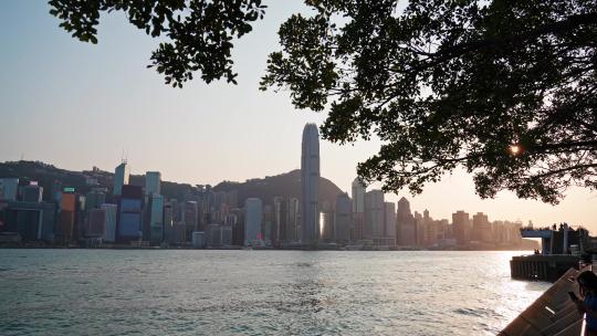 香港维多利亚港地标视频素材模板下载