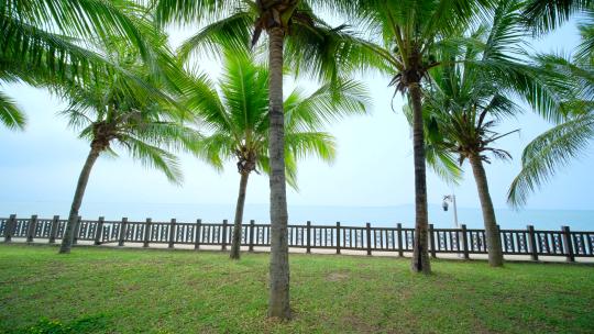海南三亚 椰树 椰子树 海边沙滩海滩度假视频素材模板下载