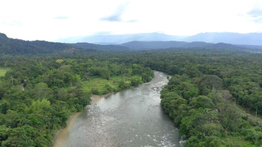 热带大河上的鸟瞰图，一侧有一块开阔的土地