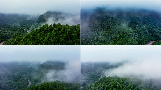 大自然景观穿云山川云雾生态大自然晨雾高清在线视频素材下载