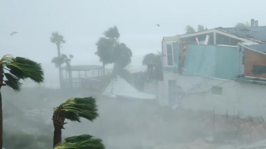 台风过境视频素材模板下载