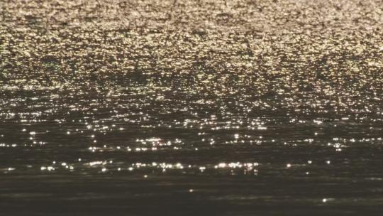 黄昏金色海面江河湖海视频素材模板下载
