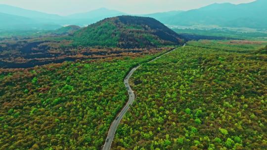 航拍鸟瞰山林树木公路