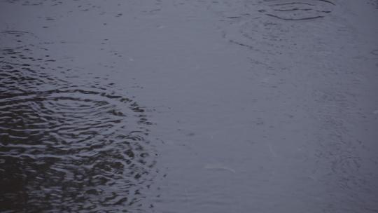 雨水惊蛰谷雨立春意境屋檐雨滴滴水中式