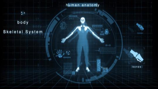 HUD 200+种科技人体解剖学动画UI界面元素