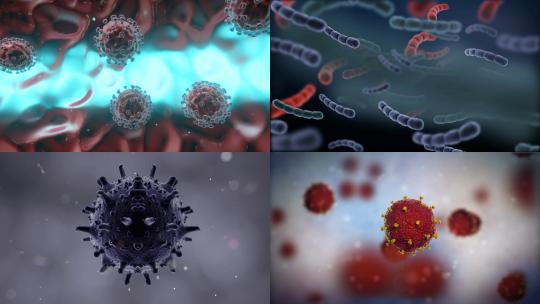 【合集】3d细菌病毒细胞动画