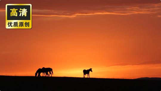 草原马剪影 夕阳下的马 沙漠草原日落黄昏