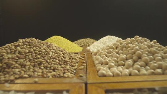 九种优质粮食展示酿酒原料谷物展示