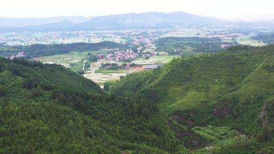 雨后的山林