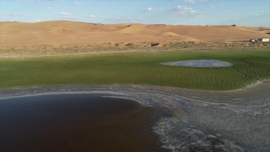 阿拉善左旗腾格里沙漠绿洲，湖泊