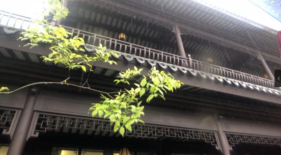 中式合院别墅  中式园林建筑  南瓜灯 雨