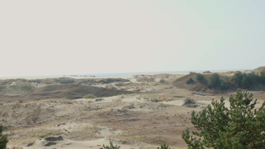 沙丘景观
