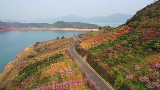航拍湖南郴州东江湖边春天的美景