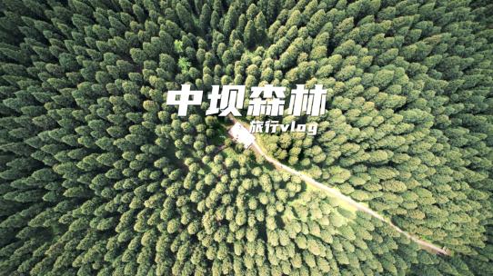4K成都彭州中坝森林公园航拍素材森林自然视频素材模板下载