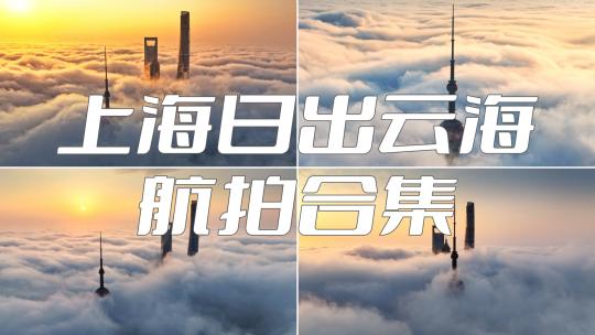 上海日出 上海云海 陆家嘴 2024上海
