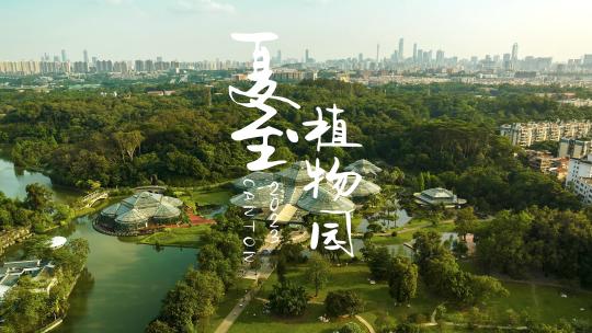 广州华南植物园夏日阳光植物航拍延时4K视频