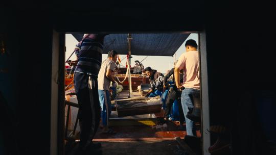 渔民在鱼货交易