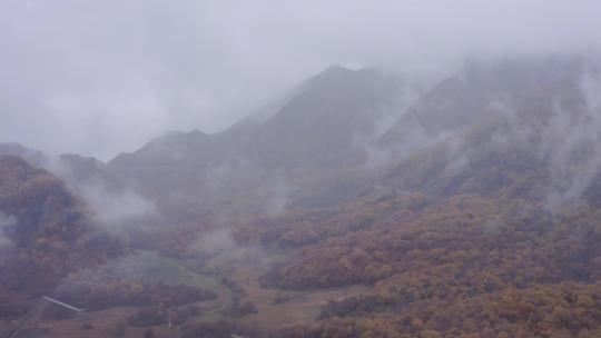 湖北神农架大九湖景区的阴雨秋天