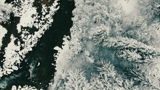 达古冰川下雪的森林公路航拍