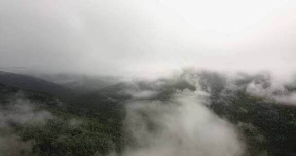 浓雾盘旋在山林上空
