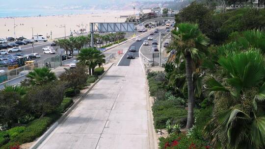 汽车在海滨建造的高速公路上行驶