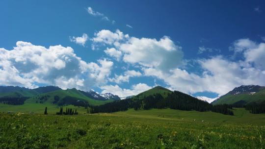 新疆 伊犁 那拉提 草原