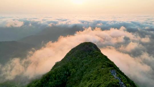 海南乐东尖峰岭热带雨林公园云海日出视频素材模板下载